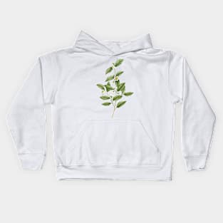 Watercolor tea plant artwork Kids Hoodie